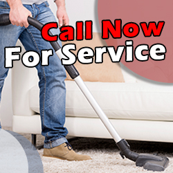 Contact Carpet Cleaning Company